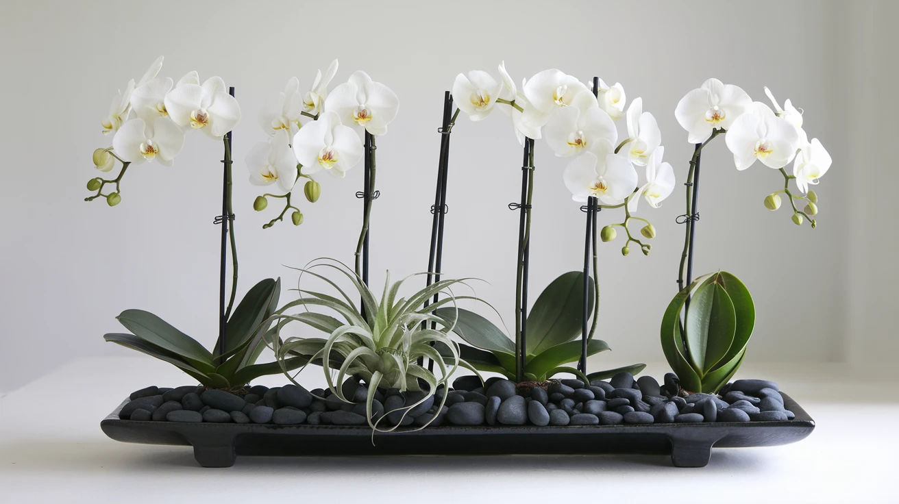 1. The Zen Garden Tribute