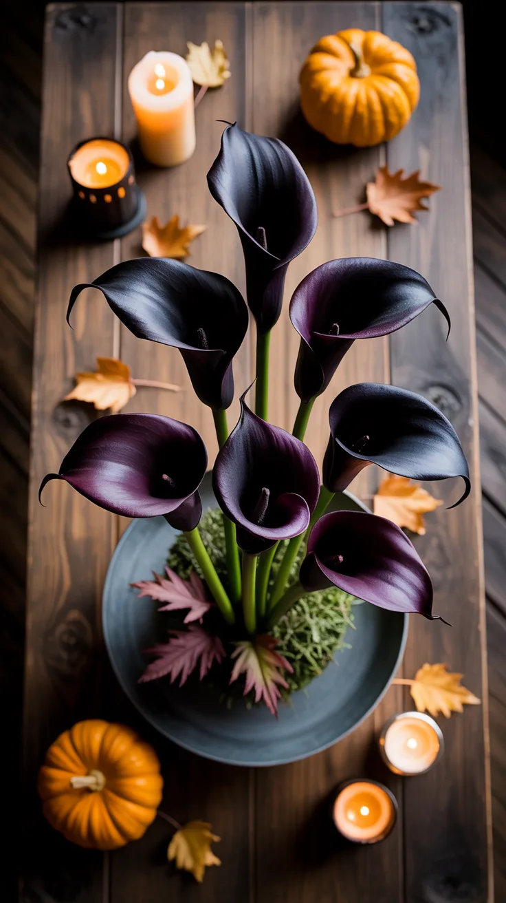 5. Black Calla Lilies