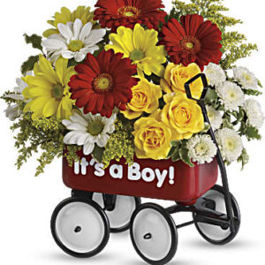 Baby's Wow Wagon | Mixed Bouquets | Same Day Flower Delivery | Multi-Colored | Teleflora