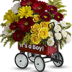 Baby's Wow Wagon | Mixed Bouquets | Same Day Flower Delivery | Multi-Colored | Teleflora