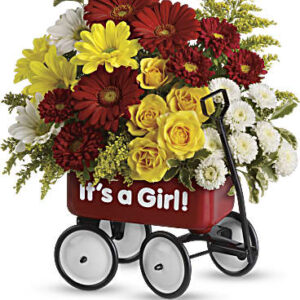 Baby's Wow Wagon | Mixed Bouquets | Same Day Flower Delivery | Multi-Colored | Teleflora