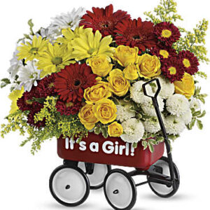 Baby's Wow Wagon | Mixed Bouquets | Same Day Flower Delivery | Multi-Colored | Teleflora