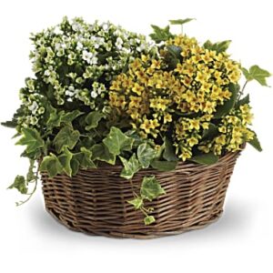 Basket Of Joy | Mixed Bouquets | Same Day Flower Delivery | Yellow | Teleflora