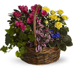 Blooming Garden Basket | Roses | Same Day Flower Delivery | Multi-Colored | Teleflora