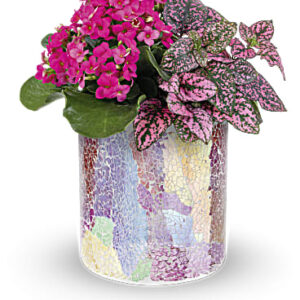 Blushing Duo | Mixed Bouquets | Same Day Flower Delivery | Pink | Teleflora