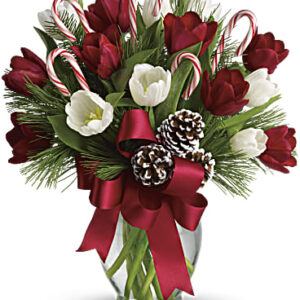 By Golly, It's Jolly | Tulips | Same Day Flower Delivery | White | Teleflora
