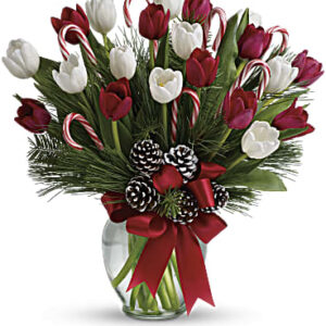 By Golly, It's Jolly | Tulips | Same Day Flower Delivery | White | Teleflora