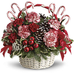 Candy Cane Christmas | Carnations | Same Day Flower Delivery | White | Teleflora