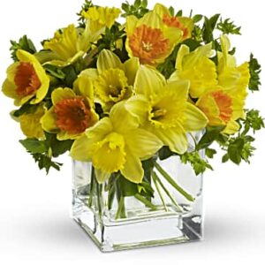 Daffodil Dreams | Mixed Bouquets | Same Day Flower Delivery | Yellow | Teleflora