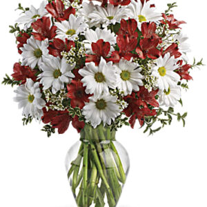 Dancing In Daisies Bouquet | Mixed Bouquets | Same Day Flower Delivery | White | Teleflora