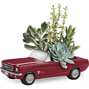 Dream Wheels '65 Ford Mustang | Mixed Bouquets | Same Day Flower Delivery | Red | Teleflora