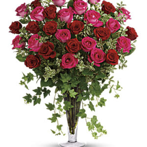 Dreaming In Pink | Roses | Same Day Flower Delivery | Teleflora