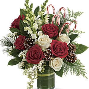 Festive Pines Bouquet | Mixed Bouquets | Same Day Flower Delivery | White | Teleflora