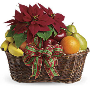Fruit And Poinsettia Basket | Mixed Bouquets | Same Day Flower Delivery | Orange | Teleflora
