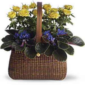 Garden To Go Basket | Roses | Same Day Flower Delivery | Multi-Colored | Teleflora