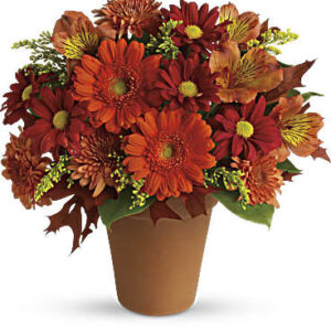 Golden Glow | Mixed Bouquets | Same Day Flower Delivery | Orange | Teleflora