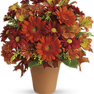 Golden Glow | Mixed Bouquets | Same Day Flower Delivery | Orange | Teleflora