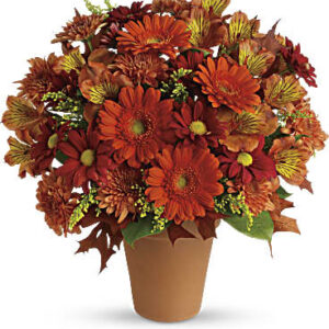 Golden Glow | Mixed Bouquets | Same Day Flower Delivery | Orange | Teleflora