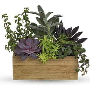 Grow Positive Garden | Mixed Bouquets | Same Day Flower Delivery | Green | Teleflora