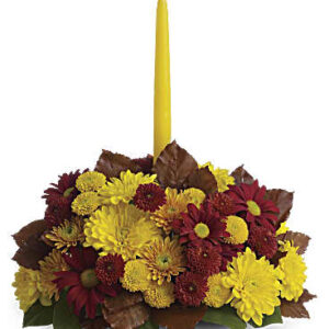 Harvest Happiness Centerpiece | Asters | Same Day Flower Delivery | Multi-Colored | Teleflora
