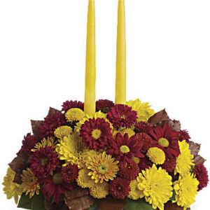 Harvest Happiness Centerpiece | Asters | Same Day Flower Delivery | Multi-Colored | Teleflora