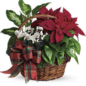 Holiday Homecoming Basket | Mixed Bouquets | Same Day Flower Delivery | White | Teleflora