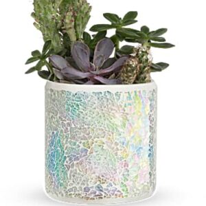 Iridescent Oasis Garden | Mixed Bouquets | Same Day Flower Delivery | White | Teleflora