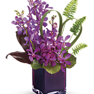 Island Princess | Orchids | Same Day Flower Delivery | Red | Teleflora