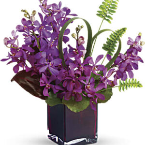 Island Princess | Orchids | Same Day Flower Delivery | Red | Teleflora