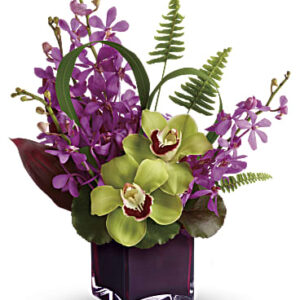 Island Princess | Orchids | Same Day Flower Delivery | Red | Teleflora