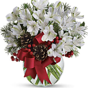 Let It Snow | Alstroemeria | Same Day Flower Delivery | White | Teleflora
