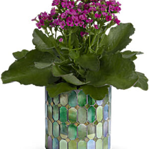 Memorable Mosaic Plant | Mixed Bouquets | Same Day Flower Delivery | Pink | Teleflora