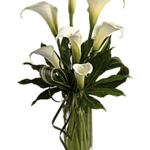 My Fair Lady | Calla Lilies | Same Day Flower Delivery | White | Teleflora