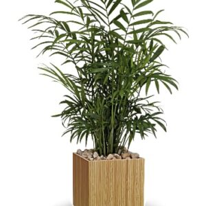 Peaceful Palm | Mixed Bouquets | Same Day Flower Delivery | Multi-Colored | Teleflora