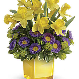 Playful Springtime Daffodil Bouquet | Asters | Same Day Flower Delivery | Multi-Colored | Teleflora