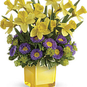 Playful Springtime Daffodil Bouquet | Asters | Same Day Flower Delivery | Multi-Colored | Teleflora