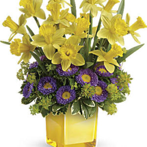 Playful Springtime Daffodil Bouquet | Asters | Same Day Flower Delivery | Multi-Colored | Teleflora