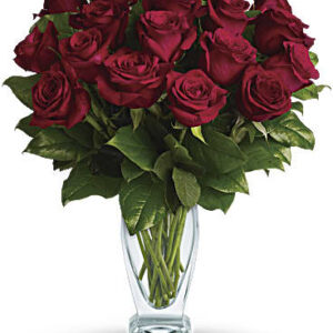 Rose Classique | Roses | Same Day Flower Delivery | Red | Teleflora