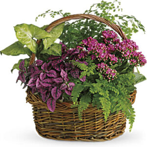 Secret Garden Basket | Mixed Bouquets | Same Day Flower Delivery | Pink | Teleflora