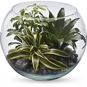 Sphere Of Tranquility Terrarium | Mixed Bouquets | Same Day Flower Delivery | Green | Teleflora