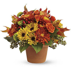 Sugar Maples | Roses | Same Day Flower Delivery | Multi-Colored | Teleflora
