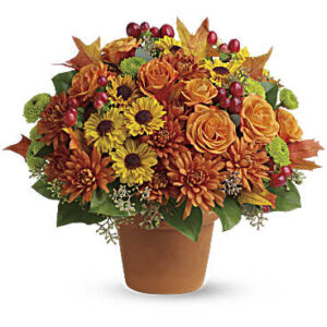 Sugar Maples | Roses | Same Day Flower Delivery | Multi-Colored | Teleflora
