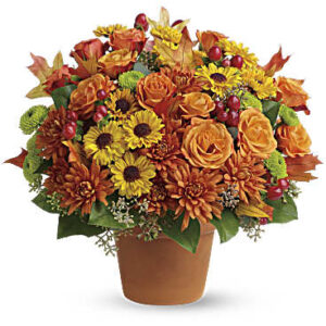 Sugar Maples | Roses | Same Day Flower Delivery | Multi-Colored | Teleflora