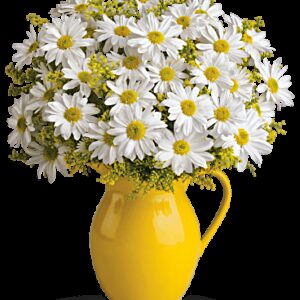 Sunny Day Pitcher Of Daisies Bouquet | Same Day Flower Delivery | Multi-Colored | Teleflora