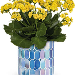 Sunny Kalanchoe | Mixed Bouquets | Same Day Flower Delivery | Multi-Colored | Teleflora