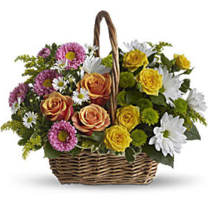 Sweet Tranquility Basket | Mixed Bouquets | Same Day Flower Delivery | Multi-Colored | Teleflora