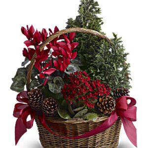 Tannenbaum Basket | Mixed Bouquets | Same Day Flower Delivery | Red | Teleflora