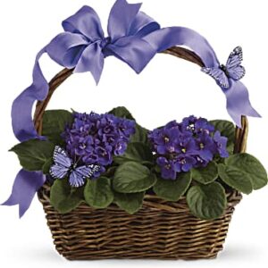 Violets And Butterflies | Mixed Bouquets | Same Day Flower Delivery | Multi-Colored | Teleflora