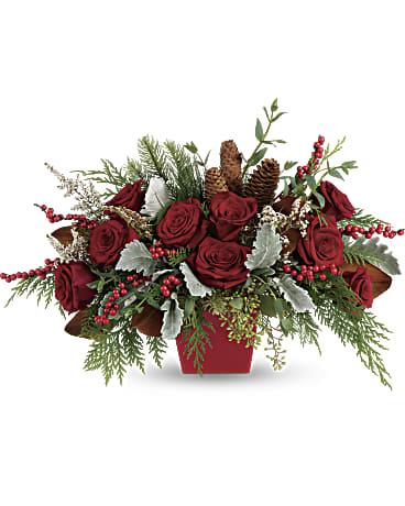 Winter Blooms Centerpiece | Roses | Same Day Flower Delivery | White | Teleflora