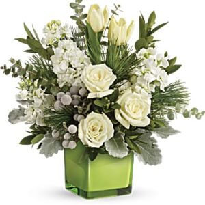 Winter Pop Bouquet | Mixed Bouquets | Same Day Flower Delivery | White | Teleflora